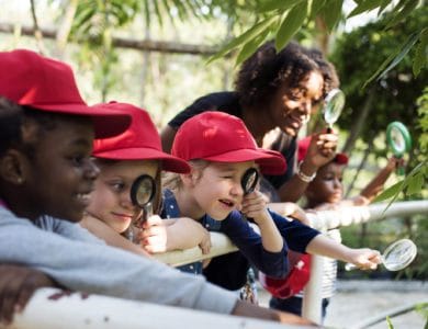 Teaching Techniques: How Do They Do It In The UK?